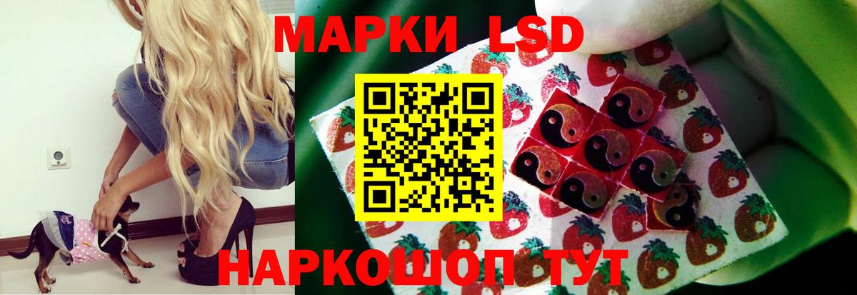 Лсд 25 экстази кислота  Лсд 25 экстази  ЛСД экстази кислота  Калач-на-Дону  Вход с VPN 