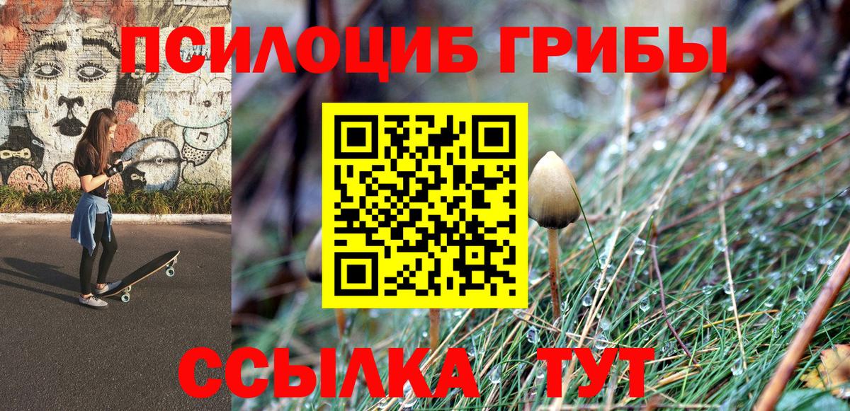 Псилоцибиновые грибы мицелий  Псилоцибиновые грибы мицелий  Калач-на-Дону  Вход с VPN 